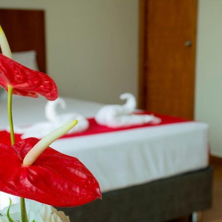Hotel La Palmera De Oro تارابوتو المظهر الخارجي الصورة