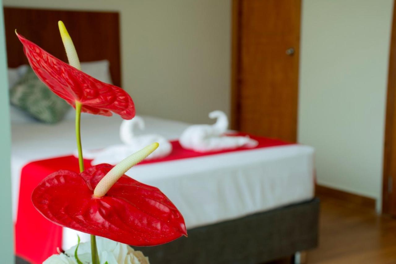 Hotel La Palmera De Oro تارابوتو المظهر الخارجي الصورة